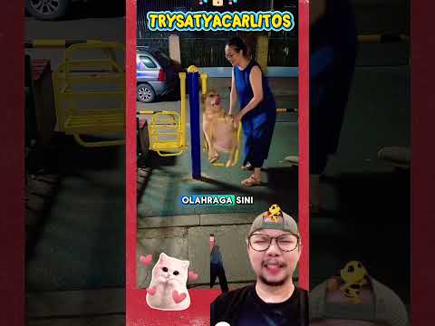 Doggie olahraga malam!!? #shorts #funny #comedy thumbnail