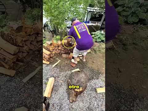 Este Chico Usó Un Hacha Falsa Para Asustar A Su Abuelo 😱 thumbnail