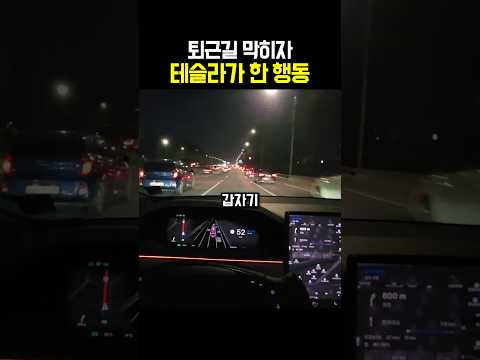 퇴근길 막히자 테슬라가 한 행동 thumbnail