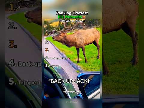 Ranking The Craziest Elk Moments thumbnail