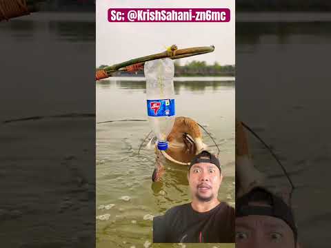Umpan ikan besar!? Ayo makan?!? #shorts #fishing #trending #shortvideo thumbnail
