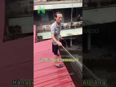 Hàng xóm đại chiến vòi rồng thumbnail