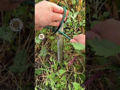 Fastest Knot for Best Holding #diy thumbnail