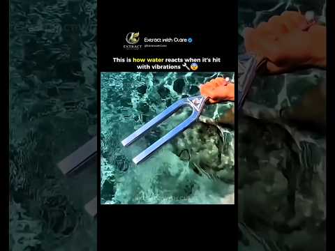 Water Reacts to Sound Waves 🌊🔊 thumbnail