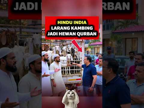 KAMBING QURBAN DIGANTI KUE ULTAH thumbnail