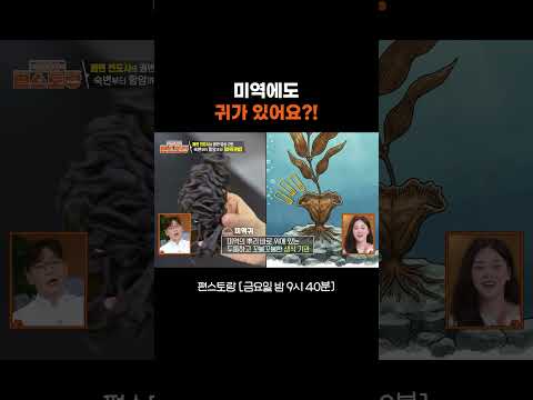 ‘미역귀’를 아시나요? #편스토랑｜KBS 260522 방송 thumbnail