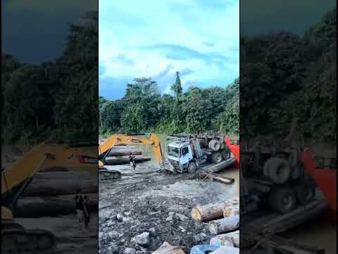Kaget klakson logging !!! operator excavator ngamuk #loggingkalimantan #automobile #excavator thumbnail