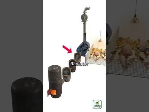 Heating Devices for Chicken Coops in Winter thumbnail