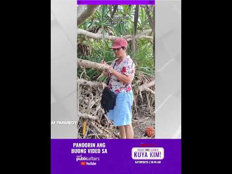 Kakaibang prutas sa tabing-dagat?! | Dami Mong Alam, Kuya Kim! thumbnail