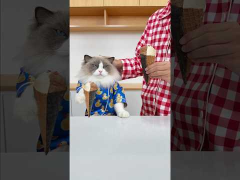 Happy sharing! #thatlittlepuff thumbnail