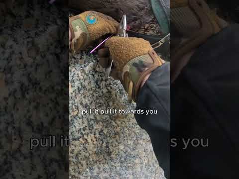 Emergency Field Surgery: Seal Rescue #shorts thumbnail