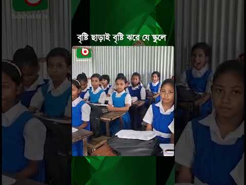 বৃষ্টি ছাড়াই বৃষ্টি ঝরে যে স্কুলে | Artificial Rain | School Roof | Shorts thumbnail