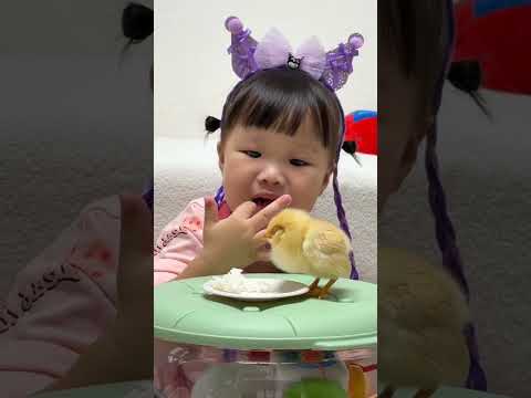 你们宝宝在超市买过最离谱的东西是什么😂😂 #看一遍笑一遍 #萌娃和萌宠 #露兮粑粑 #当人类幼崽遇到小动物 #被你萌化了 thumbnail