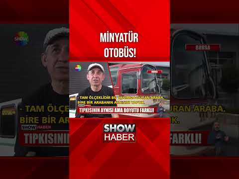 Sesi, görüntüsü aynı, boyutu farklı #showanahaber #shorts thumbnail