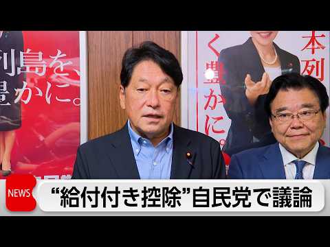 自民税調　給付付き税額控除の制度案を大筋了承 thumbnail