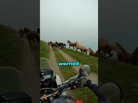 Magical View Appeared Infront of Biker thumbnail