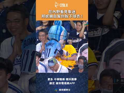 #CPBL 在內野看見象迷 邦妮親自幫你脫下球衣 ! #中信兄弟 #富邦悍將 #中華職棒 #shorts thumbnail