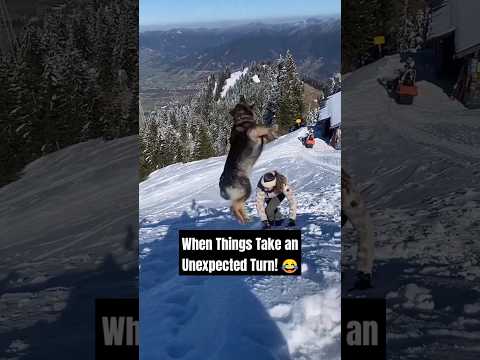 Hilarious Fails – Expect the Unexpected! 😂 #shorts #funnyfails thumbnail