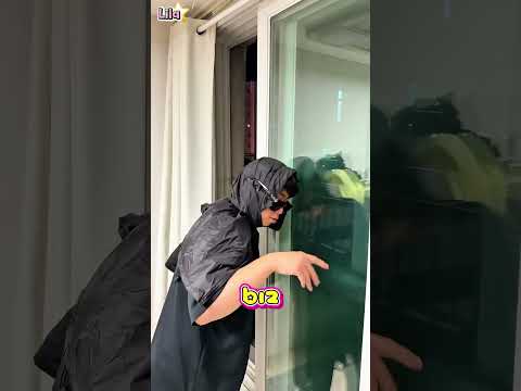 Sineklerin Saçmalık Seviyesi🌟 thumbnail