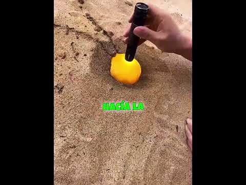 La roca de un millón de dólares escondida justo aquí 💎🪨🔥 thumbnail