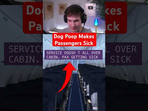 Dog Poop Makes Passenger Sick thumbnail