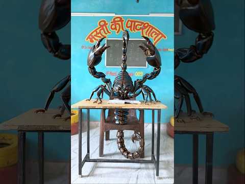 सर बने बिच्छू ? #mastikipaathsala #srindori09 #nimuda #gungun #sir #chameli thumbnail