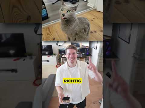Wie findet ihr die letzte?:) Schon cool nh😳 #cat #katze #Haustier #kater thumbnail