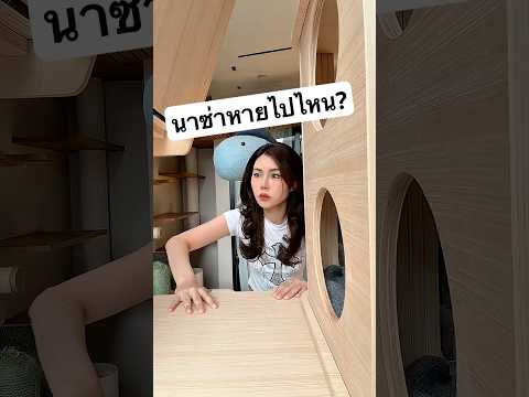 แมวนาซ่าไปไหน thumbnail