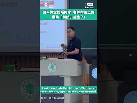 闖入課堂的喵同學，老師就這樣帶著上課。最萌「抓拍」誕生了！ thumbnail