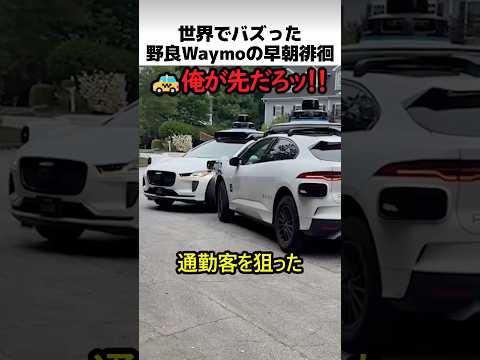 野良Waymoの早朝徘徊 thumbnail