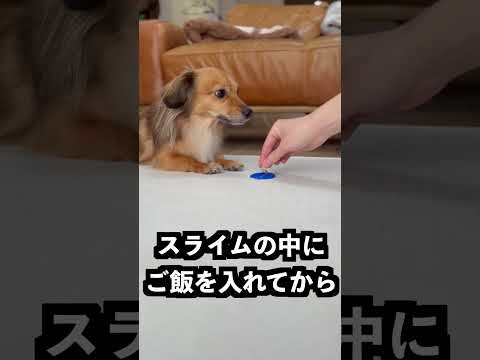 口からスライムを吸い込む顔で両端からスライムを吸えばチュウするはず！ thumbnail