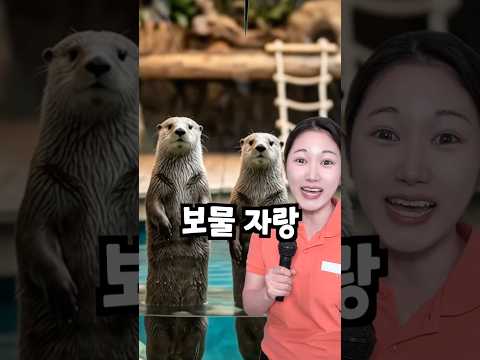 동물원 해달부부의 보물자랑을 본 엄마의 반응은? thumbnail