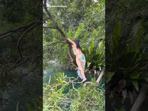 First Try… Up the Tree thumbnail