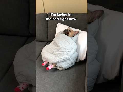 BED LOGIC…. The Socks!!😅 thumbnail