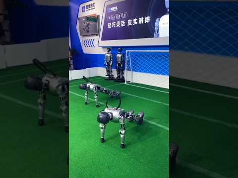 An Athlete Robot With Kung-Fu Skills! 🤖⚽🥋 #robot #shorts thumbnail