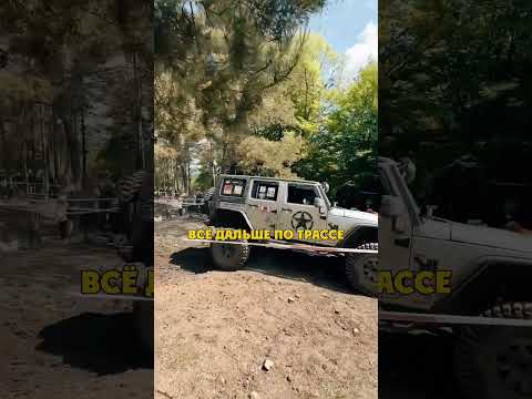Скинул Лишнее thumbnail