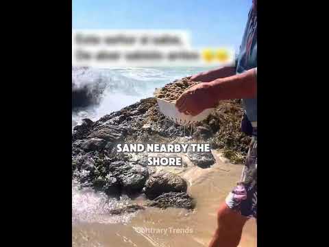 They Will Never Go To The Beach Again ? thumbnail
