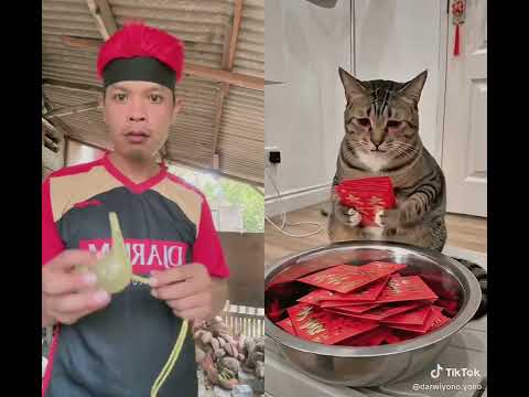 Yakin sudah tidak ada #belbelbebeb thumbnail