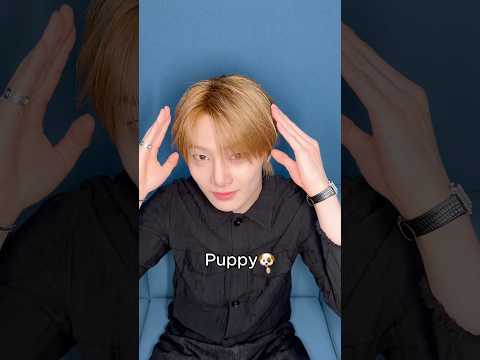 🐶🐻🛸🦭 #StrayKids #스트레이키즈 #아이엔 #I_N #YouMakeStrayKidsStay thumbnail