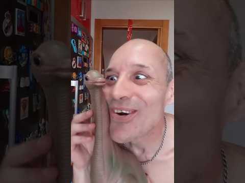 Chupapimuñaño 😅 thumbnail