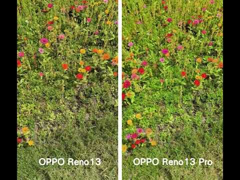 OPPO Reno13 vs OPPO Reno13 Pro_1080P 30fps thumbnail