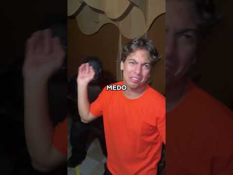 Uma noite no museu thumbnail