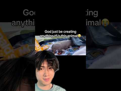Animal identification thumbnail