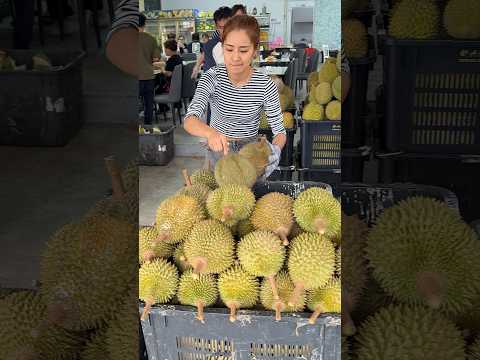 Must Try! Fresh Durian in Malaysia - Fruit Cutting Skills thumbnail