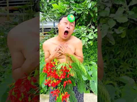 What message about kindness towards others do I want to convey through this humorous story??? thumbnail