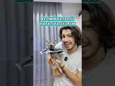 Kedimin yaşadığı hayatı yaşıyorum 😹 thumbnail