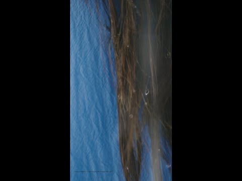Water resistance | Galaxy A57 | A37 5G | Samsung thumbnail