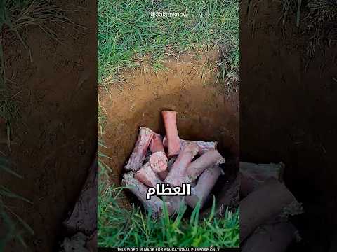 ما سر العظام تحت الأرض thumbnail