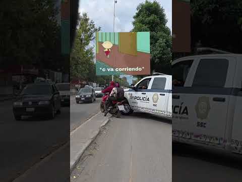 Se les pelo Baltazar #moto #automobile #motovelovidad #motociclistico #humor #biker #motovlog #vlog thumbnail
