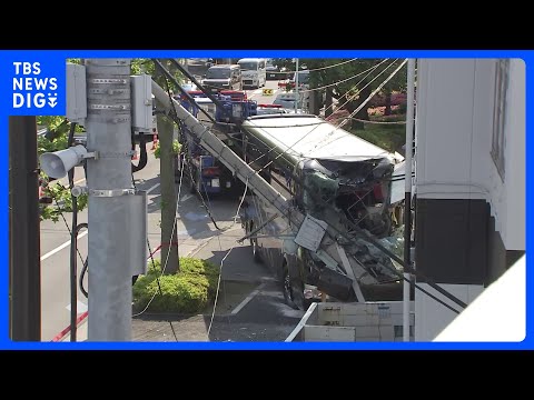 観光バスが電柱に突っ込む　現場の手前には街路樹などに接触した痕も　東京・江戸川区｜TBS NEWS DIG thumbnail
